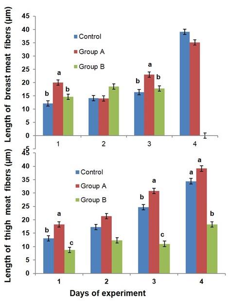 Adaptations of muscular biology in response to potential glucocorticoid treatment in broiler chicken