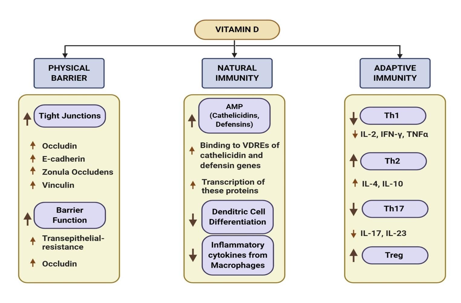 Potential roles of vitamin D in the treatment of COVID-19 patient and improving maternal and child health during pandemic