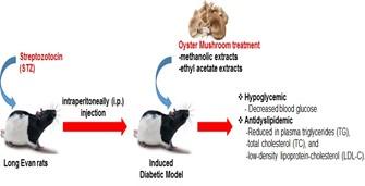 Hypoglycemic and antidyslipidemic potential of Pleurotus ostreatus in streptozotocin-induced diabetic rats